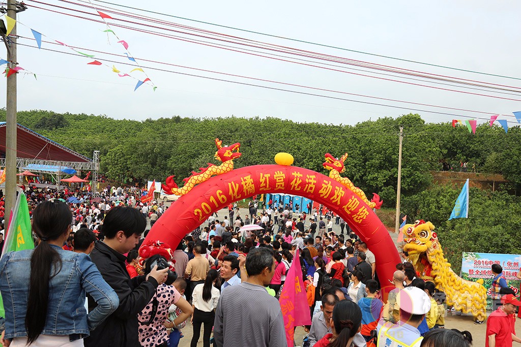 橘紅賞花節7.jpg