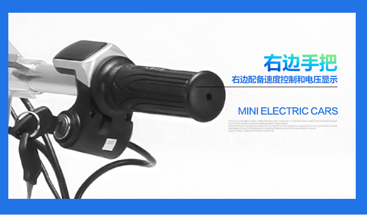 小海豚_09.jpg