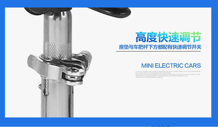 小海豚_11.jpg