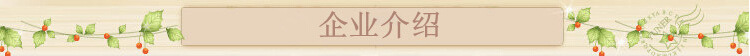 企業介紹