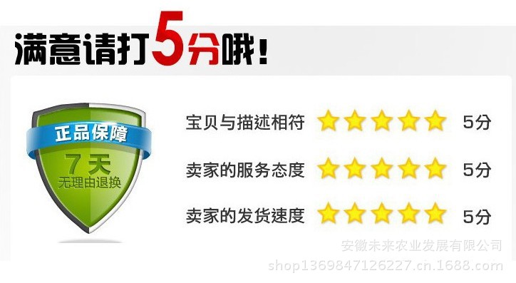 5分