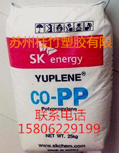 PP 韓國SK1_副本