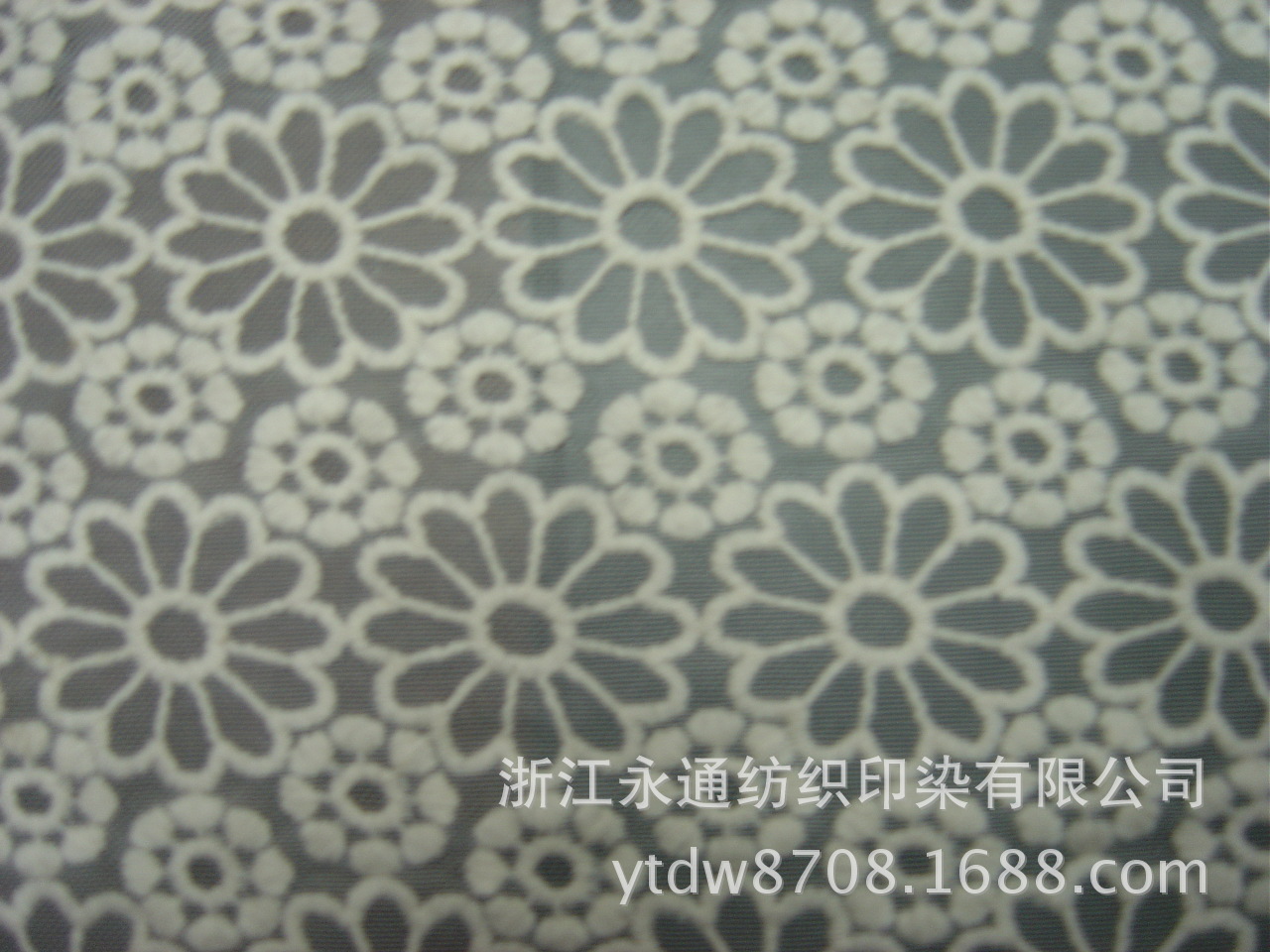 DSC00065