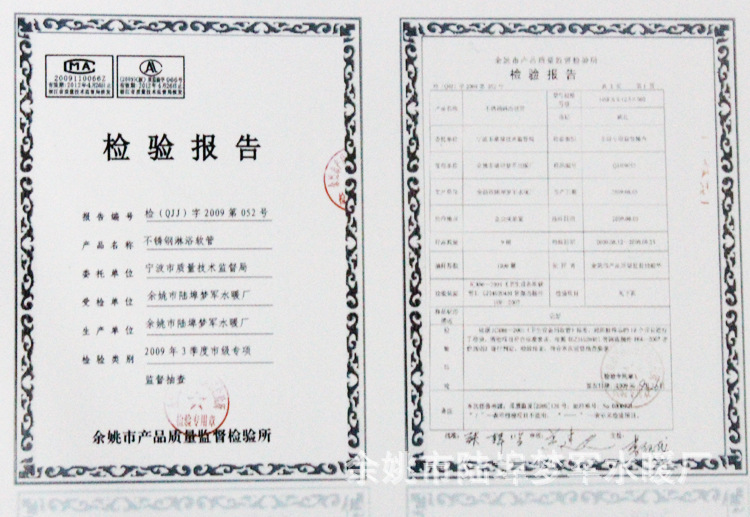 檢驗報告2