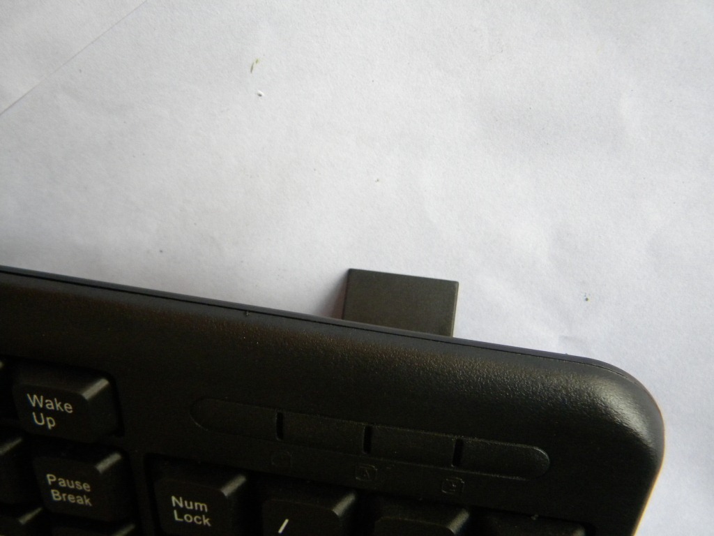 DSCN0551