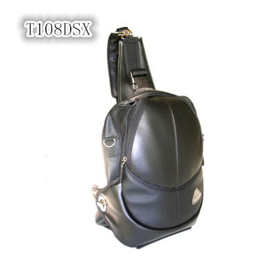 T108DSX圖片